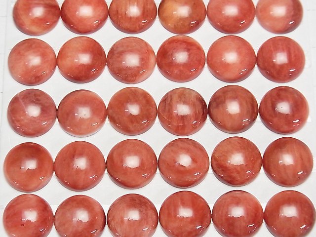 Stacheloyster-Schale runder Cabochon 12x12x4.5mm 1 Stück