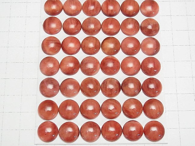 Stacheloyster-Schale runder Cabochon 12x12x4.5mm 1 Stück