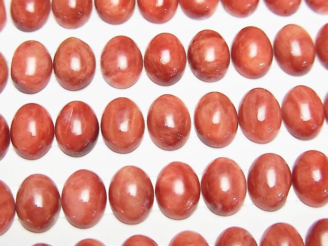 Mother of Pearl (Shell Beads) Pearl & Shell Beads
