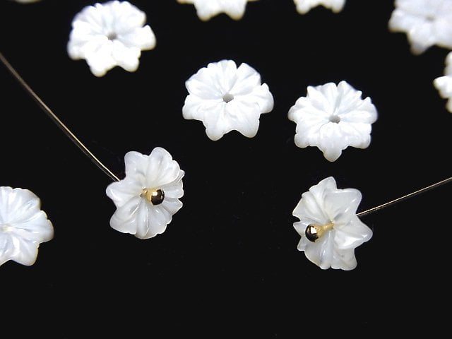 Mother of Pearl (Shell Beads) Pearl & Shell Beads