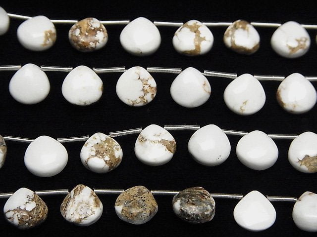Wild Horse Chestnut (Smooth) 8x8mm 1strang Perlen (ca. 6 Zoll/16 cm)
