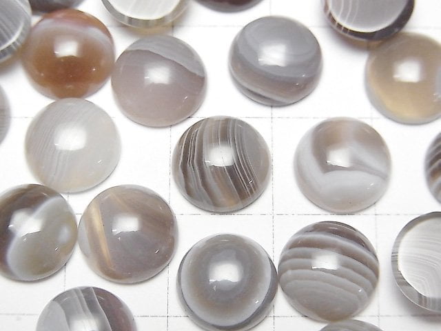 博茨瓦納瑪瑙圓凸圓形 10x10mm 5顆