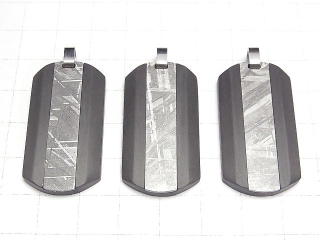 Meteoriten (Muonionalusta) Hundemarke Anhänger 38x20mm 1 Stück