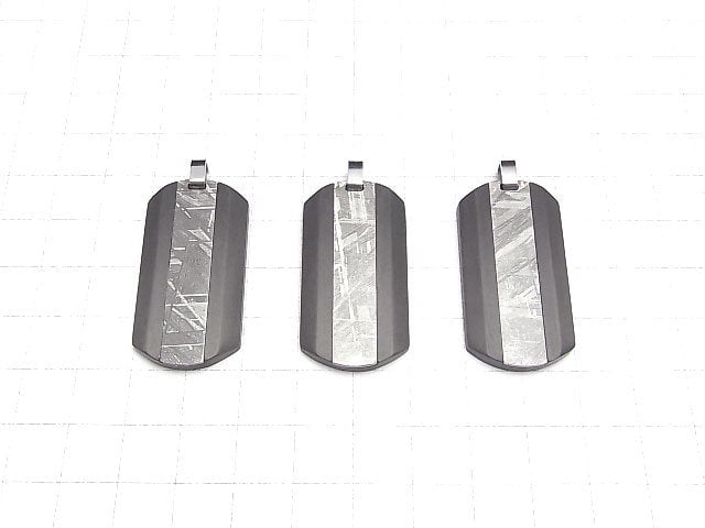 Meteoriten (Muonionalusta) Hundemarke Anhänger 38x20mm 1 Stück