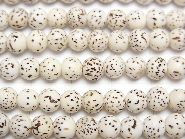 Linden seed beads Round (Semi Round) 6mm half or 1strand beads (aprx.23inch/58cm)