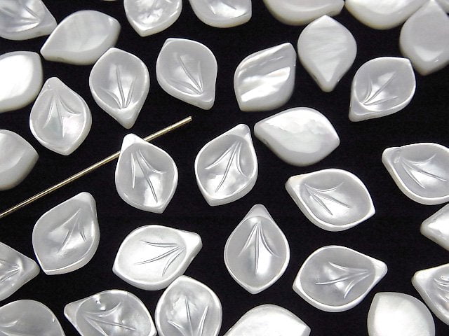 Hochwertige weiße Muschel (Silberlippen-Auster) AAA Blume (Blütenblatt) 12x8mm 2 Stück