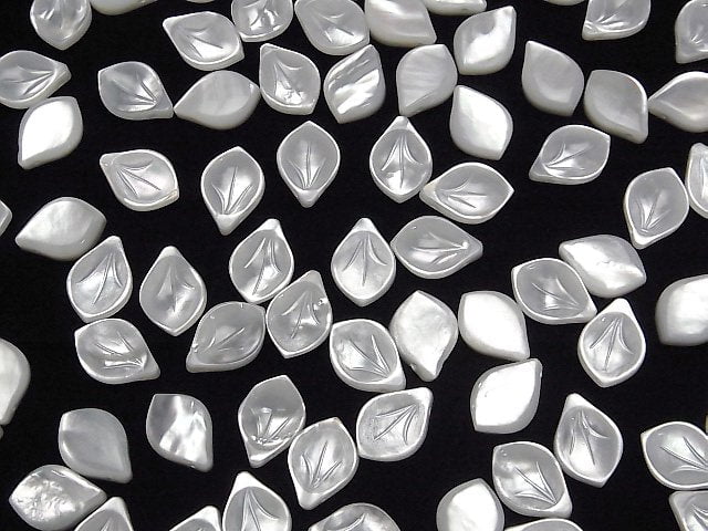Hochwertige weiße Muschel (Silberlippen-Auster) AAA Blume (Blütenblatt) 12x8mm 2 Stück