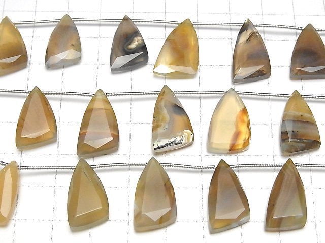 Montana Moss Agate AA++ Flat Triangle 1strand beads (8pcs)