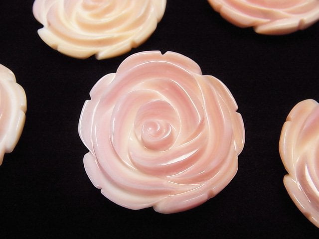 Mother of Pearl (Shell Beads) Pearl & Shell Beads