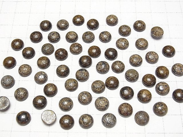 Bronzit Rund Cabochon 8x8mm 3 Stück