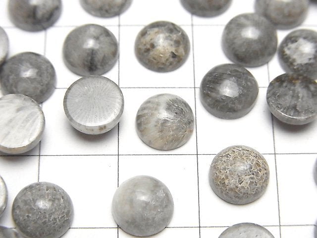摩洛哥黑色化石珊瑚圓形素面蛋面 8x8mm 5顆