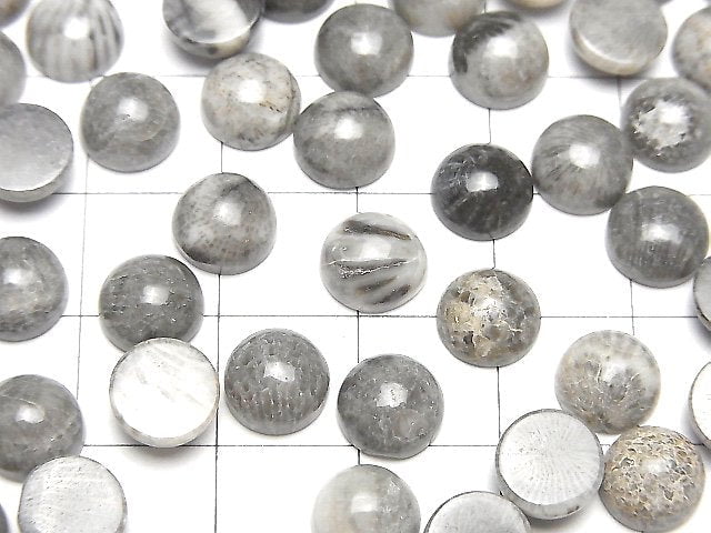 Marokkanischer schwarzer fossiler Korallenrund Cabochon 8x8mm 5Stück
