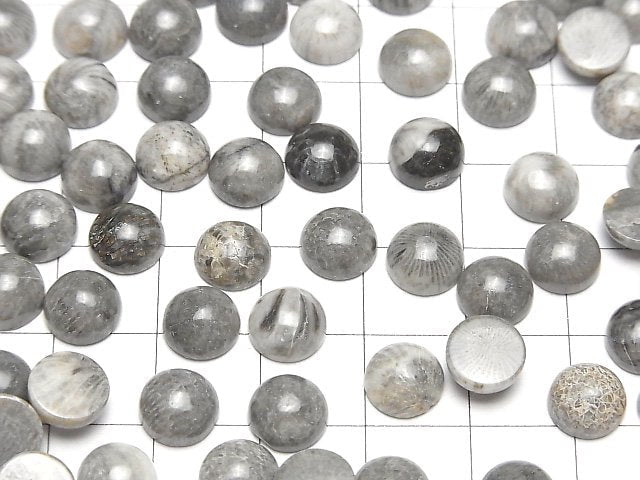 Marokkanischer schwarzer fossiler Korallenrund Cabochon 8x8mm 5Stück