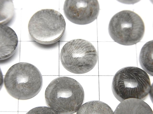 摩洛哥黑色化石珊瑚圓凸圓形切工 10x10公釐 5顆
