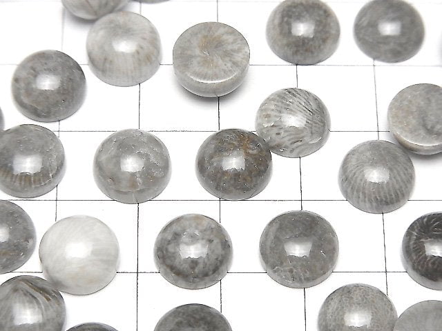 Marokkanischer schwarzer fossiler Korallenrund Cabochon 10x10mm 5Stück