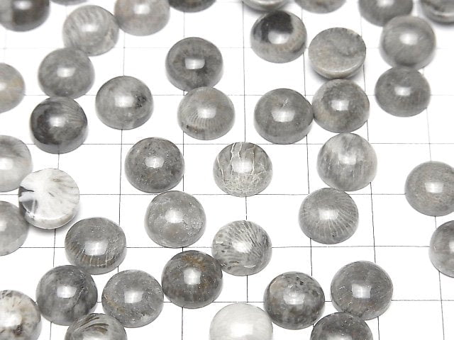 Marokkanischer schwarzer fossiler Korallenrund Cabochon 10x10mm 5Stück