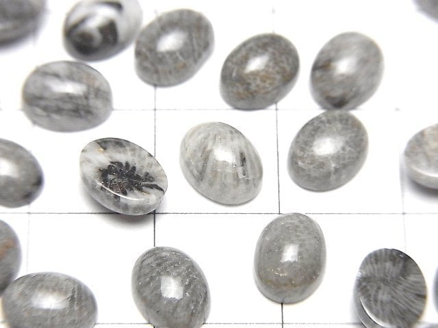 摩洛哥黑色化石珊瑚橢圓形凸圓形寶石 8x6mm 5顆