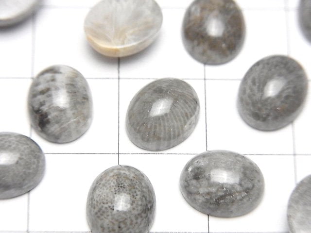 摩洛哥黑色化石珊瑚橢圓形素面蛋面 10x8mm 5顆
