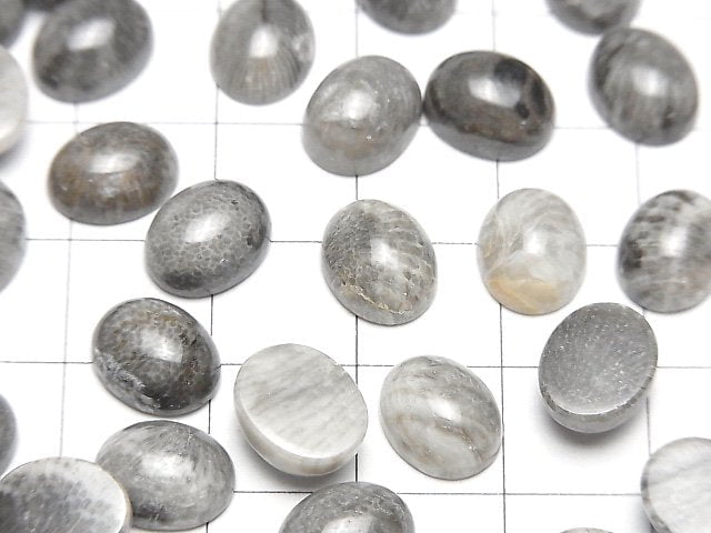 Marokkanischer schwarzer Fossilkoralle ovaler Cabochon 10x8mm 5 Stück