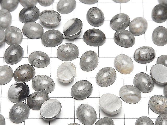 Marokkanischer schwarzer Fossilkoralle ovaler Cabochon 10x8mm 5 Stück