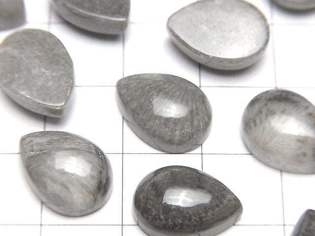 摩洛哥黑色化石珊瑚梨形素面凸圓形 14x10mm 2顆