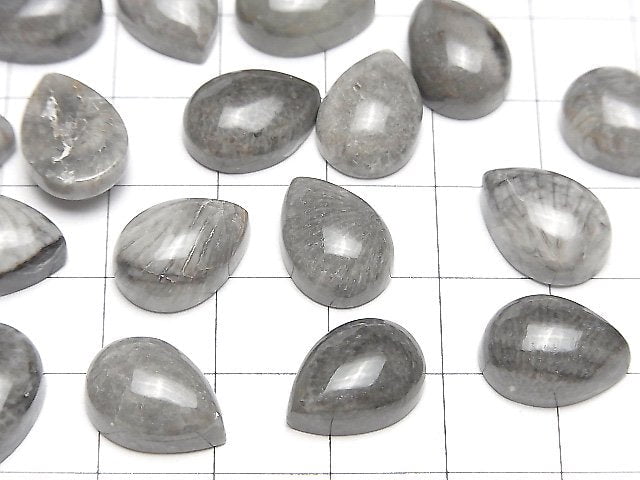 Marokkanischer schwarzer Fossilkoralle tropfenförmiger Cabochon 14x10mm 2 Stück