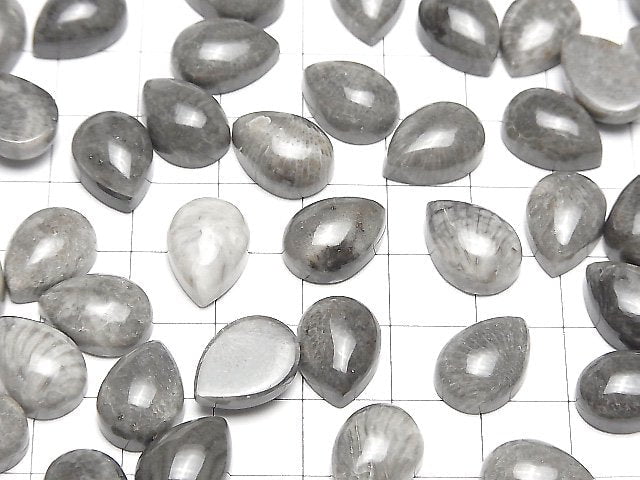 Marokkanischer schwarzer Fossilkoralle tropfenförmiger Cabochon 14x10mm 2 Stück