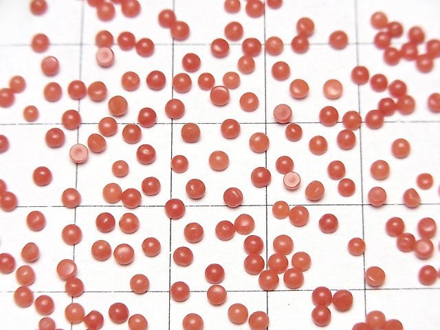Sardischer Koralle, Rote Koralle Runde Cabochon 2x2mm 10 Stück