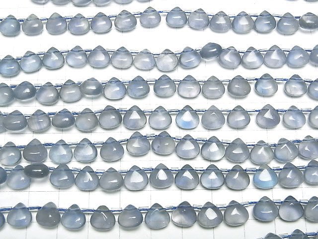 Blaugrüner Fluorit AA++ Kastanie (glatt) 8x8mm 1 Strang Perlen (ca. 7 Zoll/19 cm)
