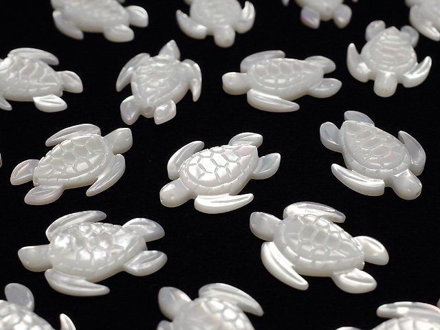 Hochwertige weiße Muschel AAA Schildkrötenform 18x13mm 2Stk