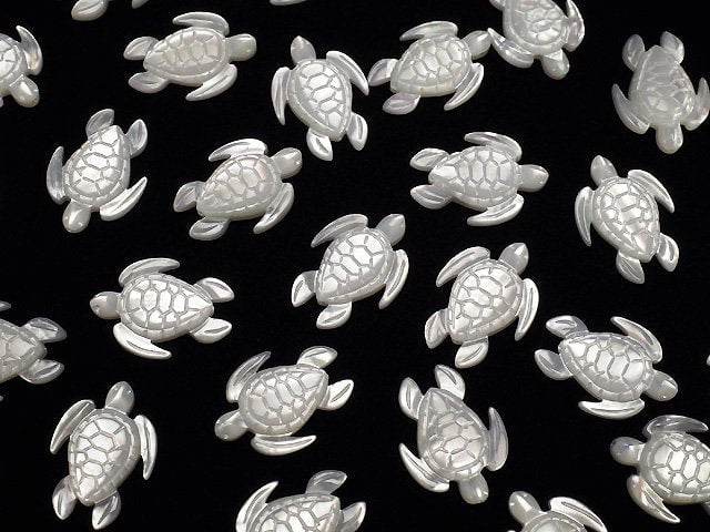 Hochwertige weiße Muschel AAA Schildkrötenform 18x13mm 2Stk