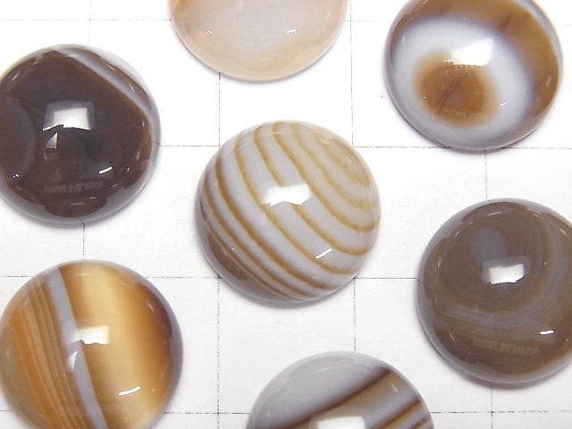 棕色條紋瑪瑙 AAA 圓形凸圓面 14x14mm 2顆