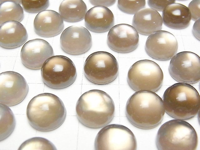 Weißes Muschel x Rauchquarz AAA Runde Cabochon 10x10mm 2 Stück