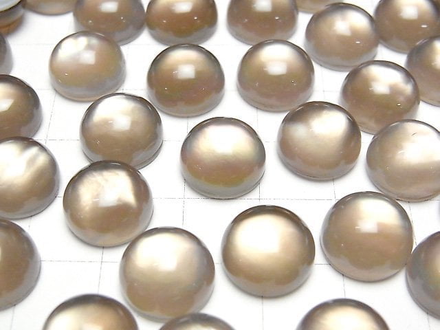 Weißes Muschel x Rauchquarz AAA Runde Cabochon 12x12mm 2 Stück