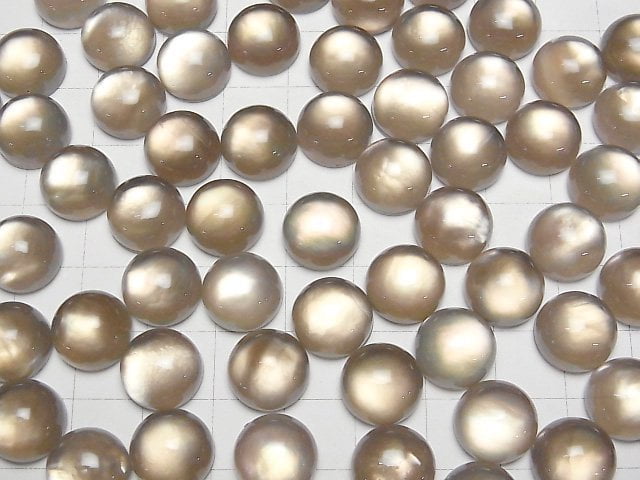 Weißes Muschel x Rauchquarz AAA Runde Cabochon 12x12mm 2 Stück