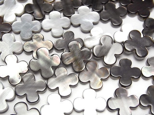 Black Shell AAA Flower Motif 13x13x3mm 1/4 or 1strand beads (aprx.15inch/38cm)