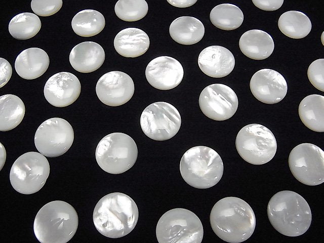 Hochwertige Weiße Muschel (Silberlippen-Auster) AAA Runde Cabochon 16x16mm 2 Stück