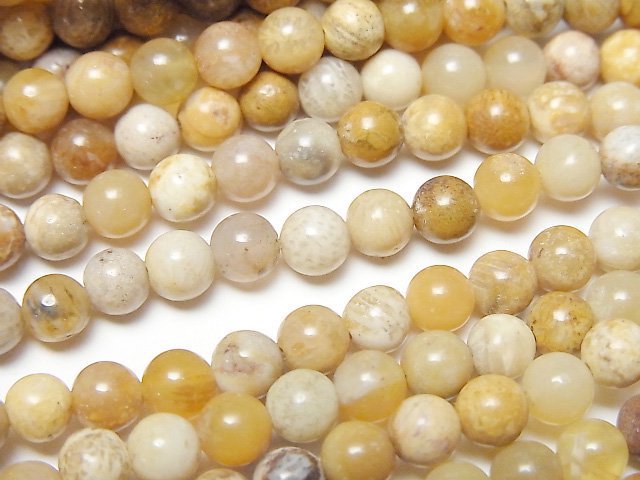 Fossil Coral Round 4.5mm 1strand beads (aprx.15inch/37cm)