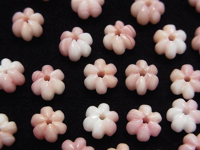 皇后海螺殼 AAA 南瓜形 8x7mm 3顆