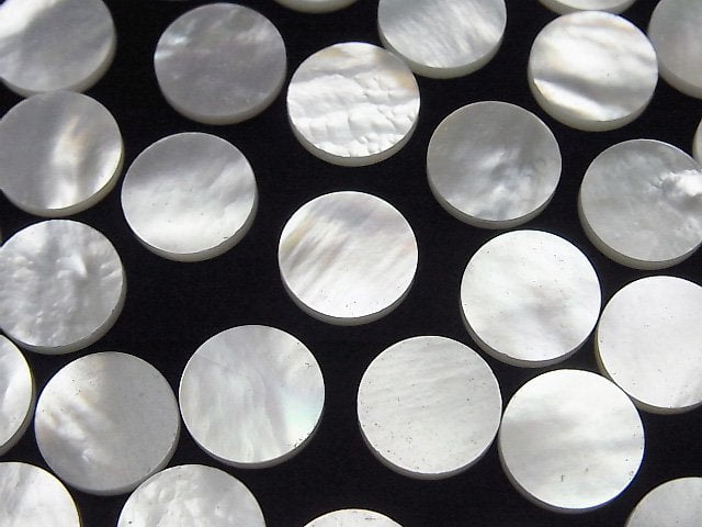 High Quality White Shell (Silver-lip Oyster) AAA Undrilled Flat Coin 10x10mm 5pcs