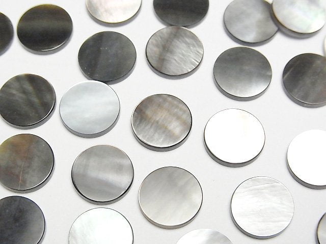 高品質黑碟貝 (黑唇蠔) AAA 未鑽孔扁平硬幣狀 10x10mm 5顆