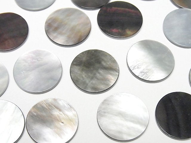 高品質黑蝶貝 AAA 未鑽孔扁圓形 16x16公釐 3顆