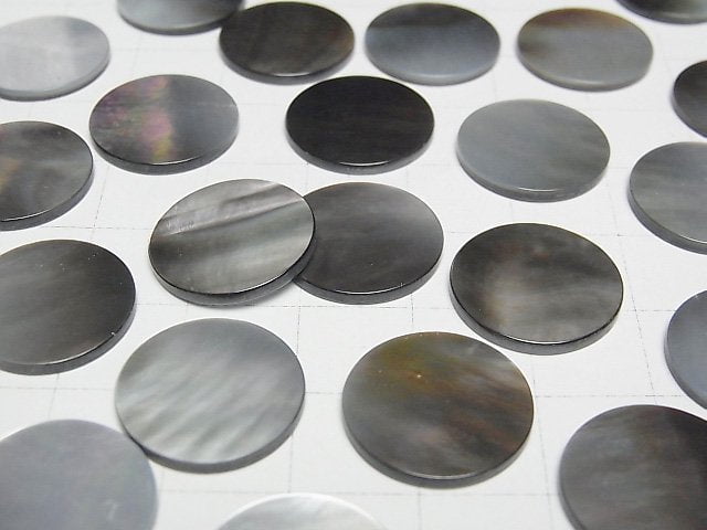 Hochwertige schwarze Muschel (Schwarze Lippen-Auster) AAA unbohrter flacher Coin 16x16mm 3 Stück
