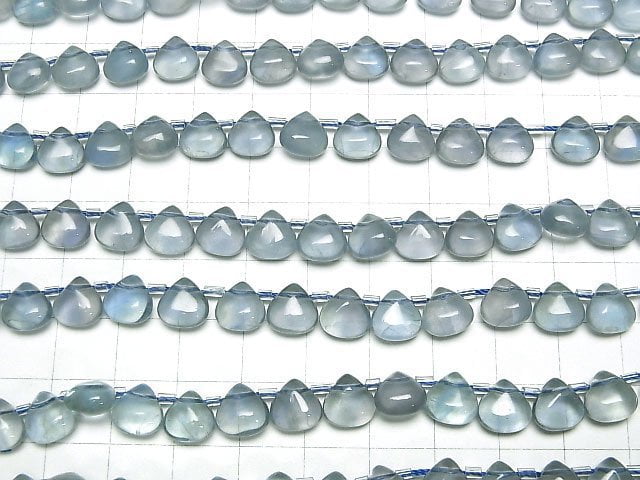 Blaugrüner Fluorit AA++ Kastanie (glatt) 8x8mm 1 Strang Perlen (ca. 7 Zoll/19 cm)