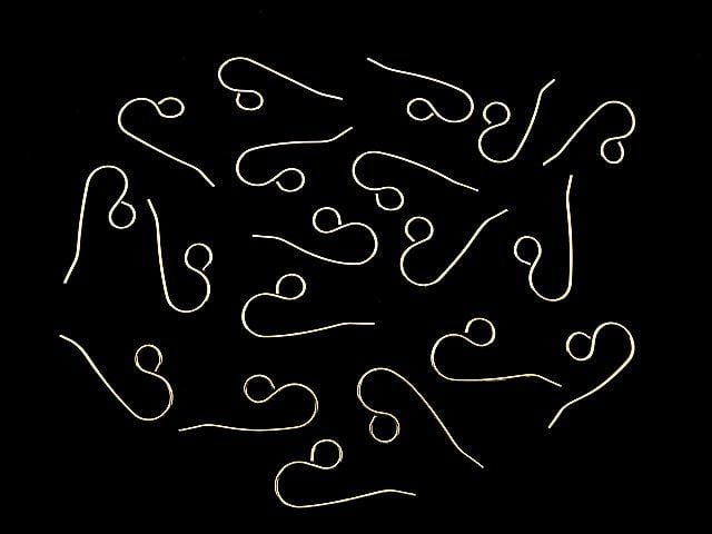 Silver925 Earwire 24x11mm 18KGP 2pairs