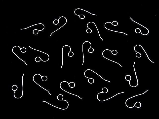 Silver925 Earwire 24x11mm Rhodium Plated 2pairs