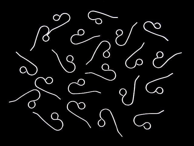 Silver925 Earwire 24x11mm No coating 2pairs