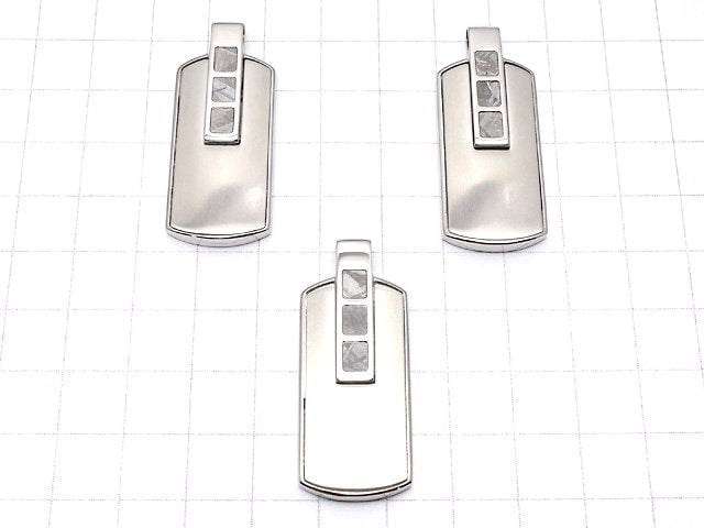 Meteoriten (Muonionalusta) Hundemarke Anhänger 35x18mm 1 Stück