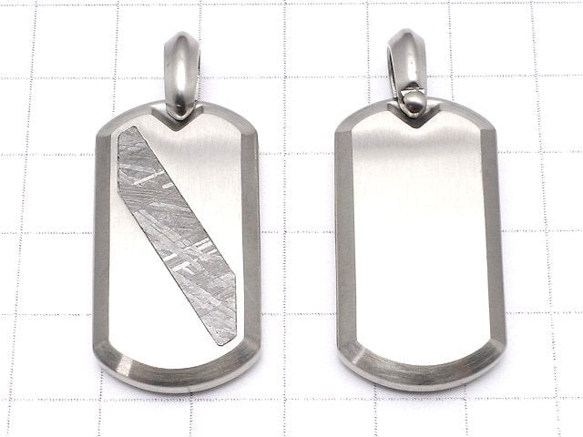 隕石(Muonionalusta)狗牌吊墜 35x19mm 1件