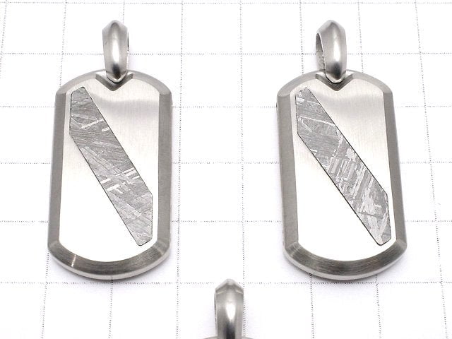 Meteoriten (Muonionalusta) Hundemarke Anhänger 35x19mm 1 Stück